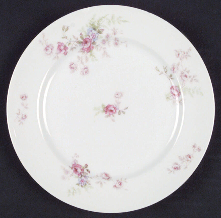 CHF434 Salad Plate by Charles Field Haviland-1