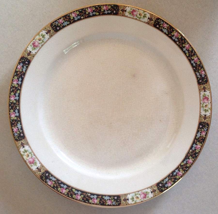 CLT22 Dinner Plate by Carrollton-1