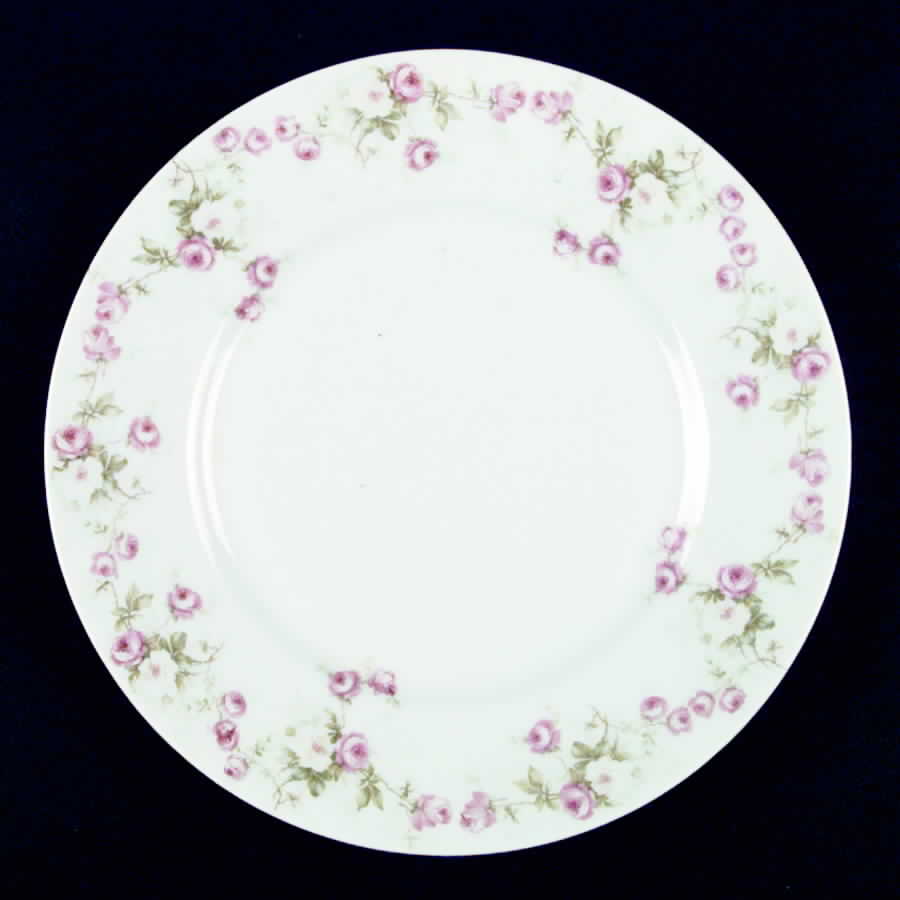 4305 Dinner Plate by Carlsbad-1