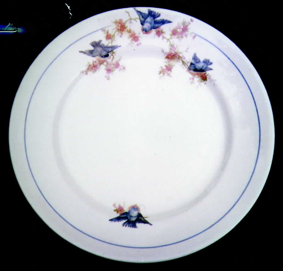 CRP53 Dinner Plate by Crown Potteries-1