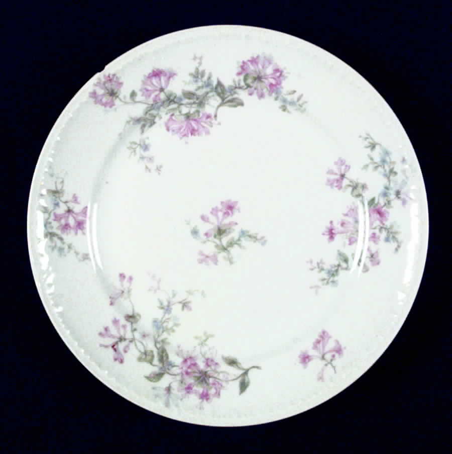 CHF439 Salad Plate by Charles Field Haviland-1