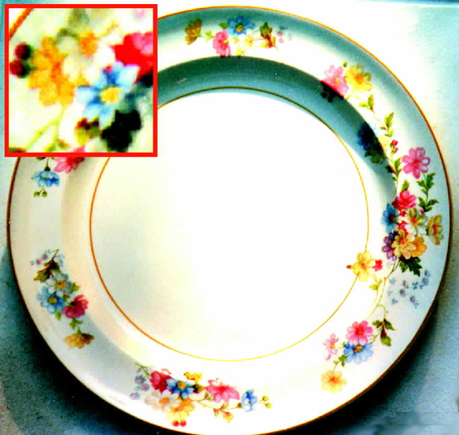 CAN96 Dinner Plate by Canonsburg-1