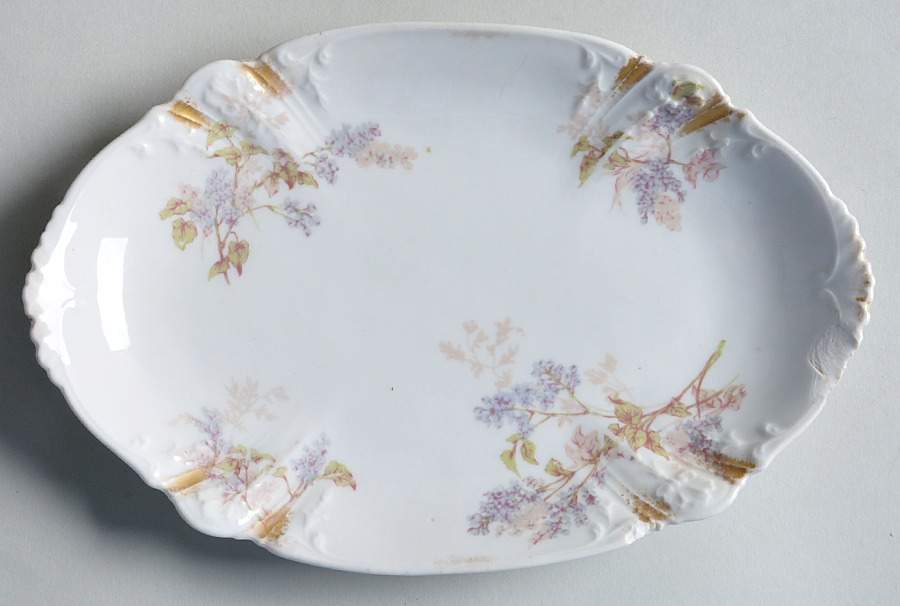 Schleiger 1291-2 9-Part Relish by Charles Field Haviland-1