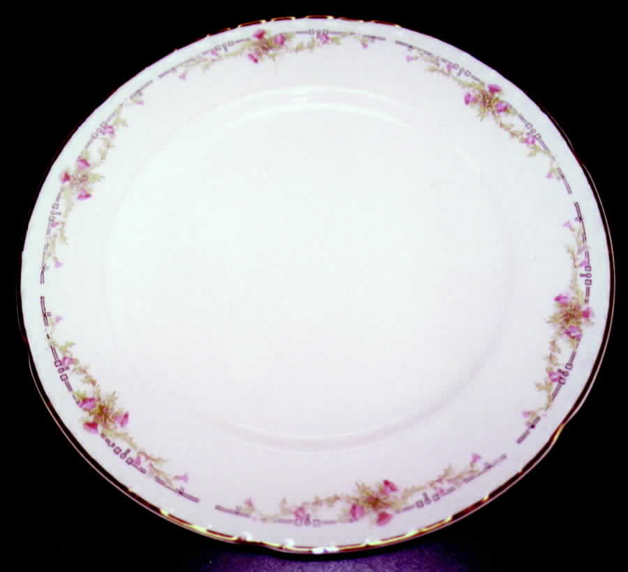 CRO147 Dinner Plate by Crooksville-1