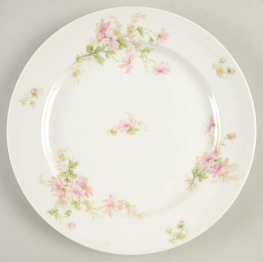 CHF447 Dinner Plate by Charles Field Haviland-1