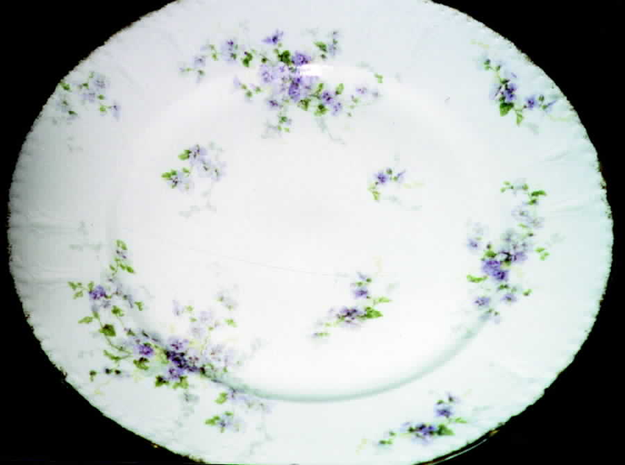 Schleiger 384-2 Dinner Plate by Charles Field Haviland-1