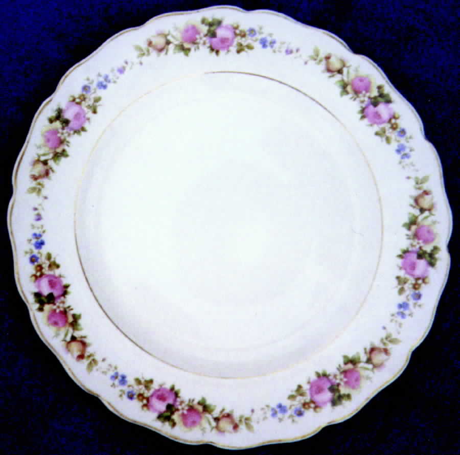 CAN103 Dinner Plate by Canonsburg-1