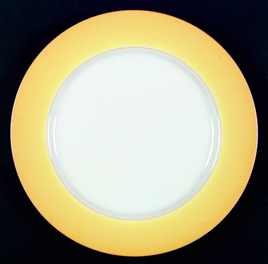 Accent Dinner Plate by Lynn Chase-1