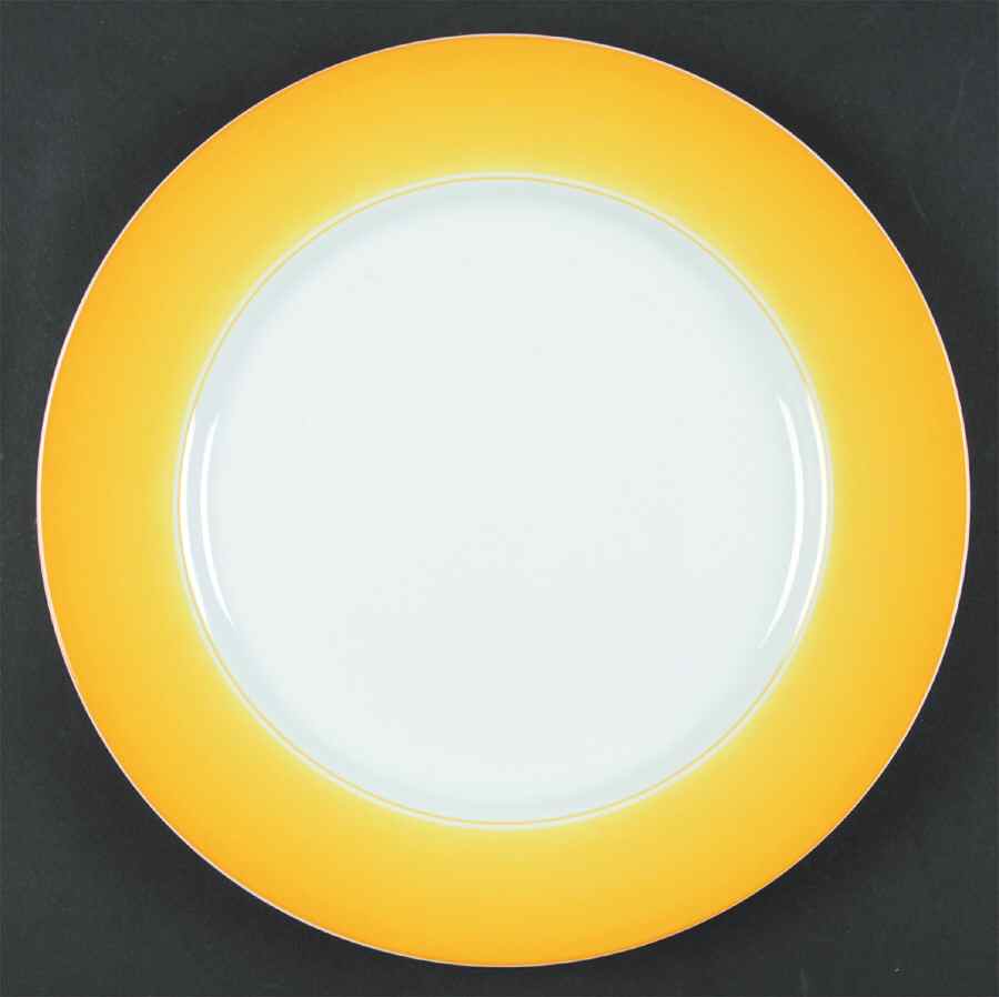 Accent Large Dinner Plate by Lynn Chase-1