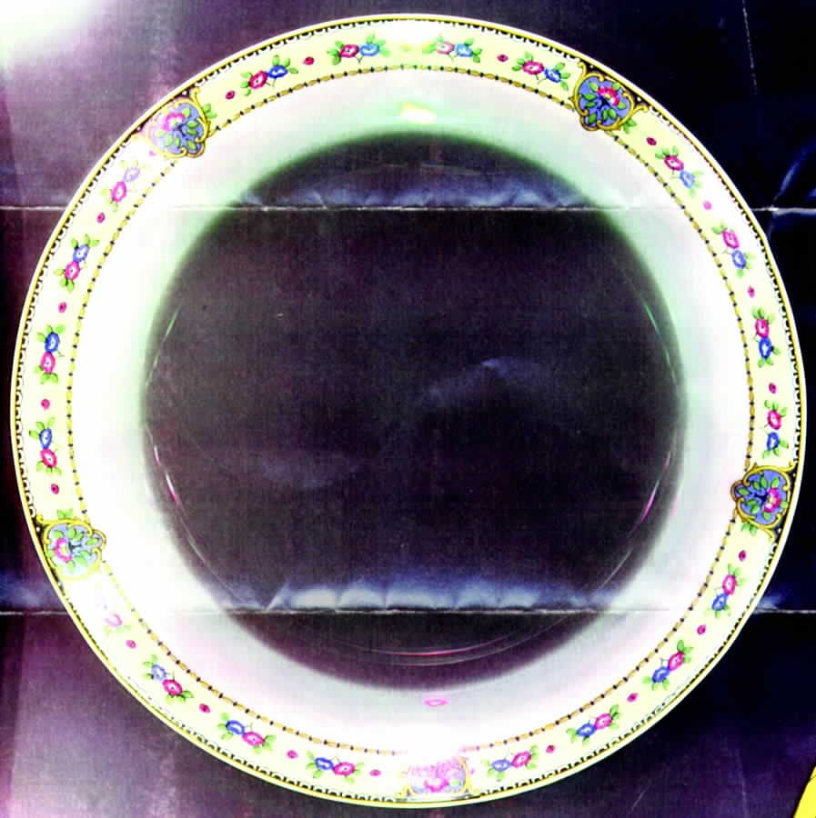 CHF454 Salad Plate by Charles Field Haviland-1