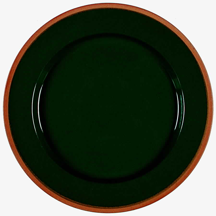 Stafford Green Dinner Plate by Crate & Barrel-1