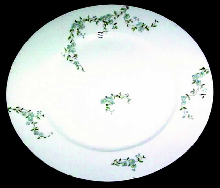 Schleiger 1299 Dinner Plate by Charles Field Haviland-1