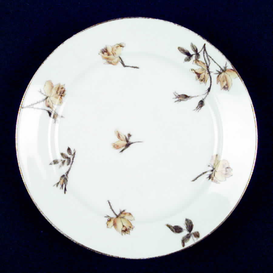 CHF457 Salad Plate by Charles Field Haviland-1