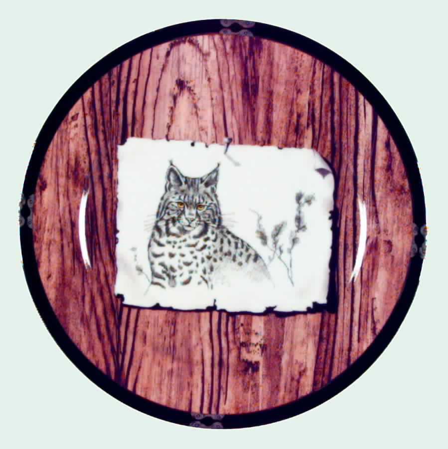 American Pages Salad Plate by Lynn Chase-1