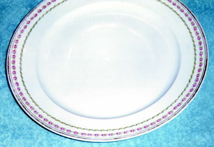 CHF460 Dinner Plate by Charles Field Haviland-1