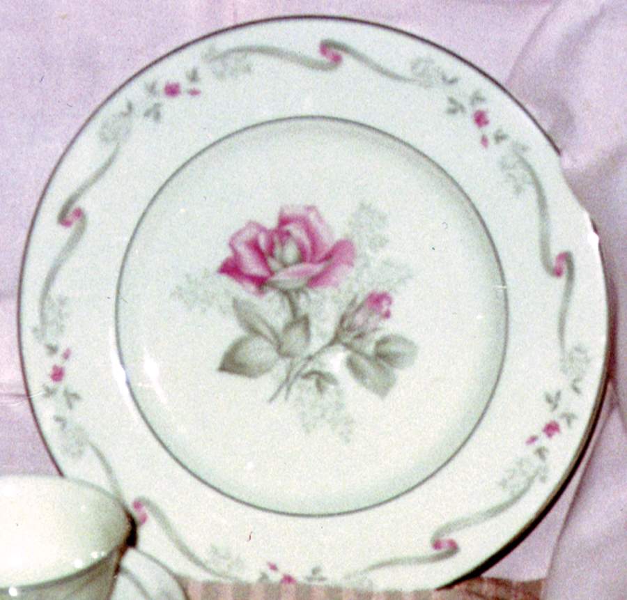 C38 Dinner Plate by Castleton (USA)-1
