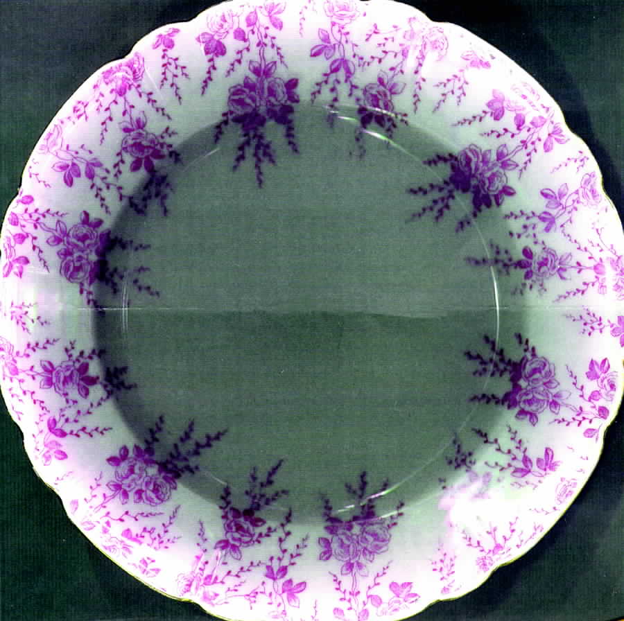 CAR47 Salad Plate by Carlsbad-1