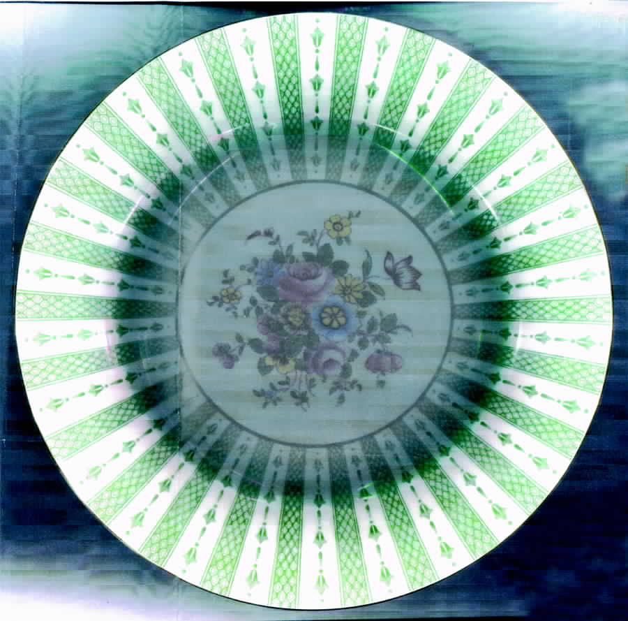 F12031 Dinner Plate by Crown Staffordshire-1