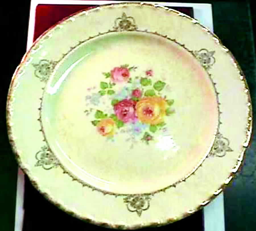 CRO151 Dinner Plate by Crooksville-1