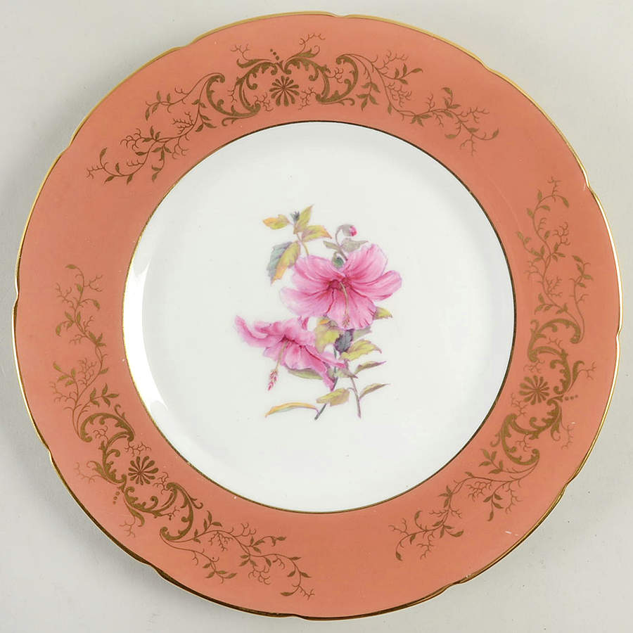 COA43 Dinner Plate by Coalport-1