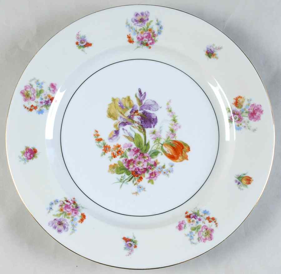 Springtime Dinner Plate by Chateau-1