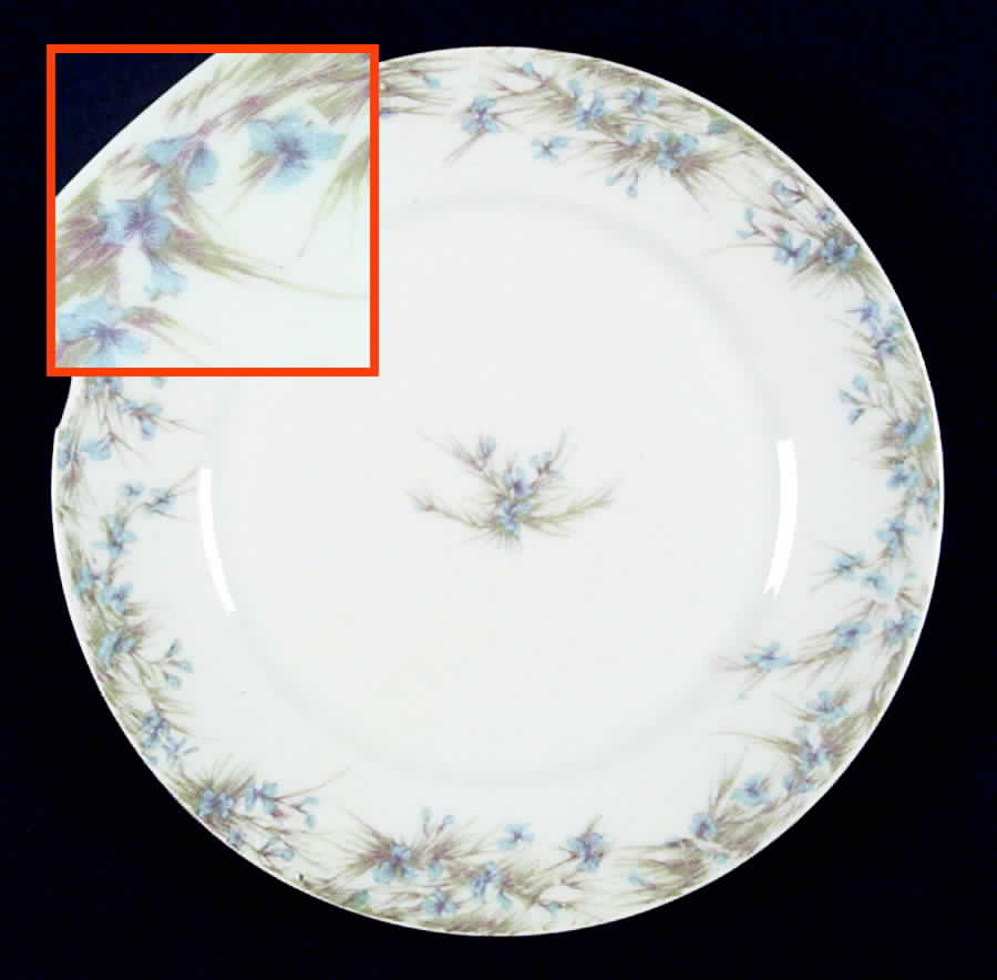 CHF469 Salad Plate by Charles Field Haviland-1