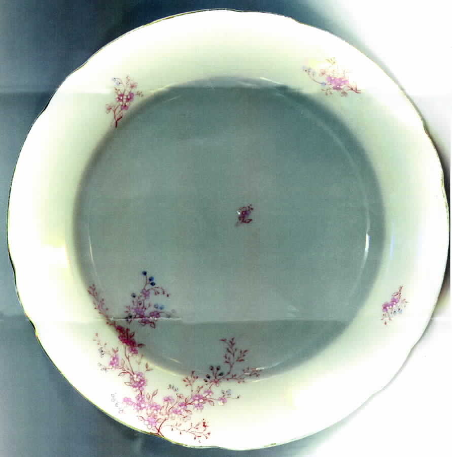 CAR48 Salad Plate by Carlsbad-1