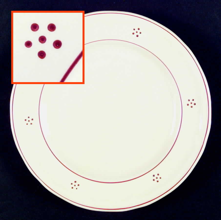 CMI9 Dinner Plate by Ceramica (Italy)-1