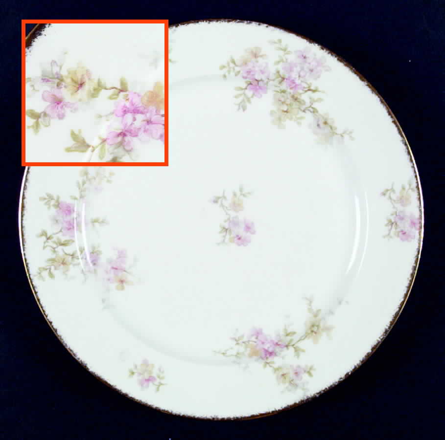 CHF472 Dinner Plate by Charles Field Haviland-1