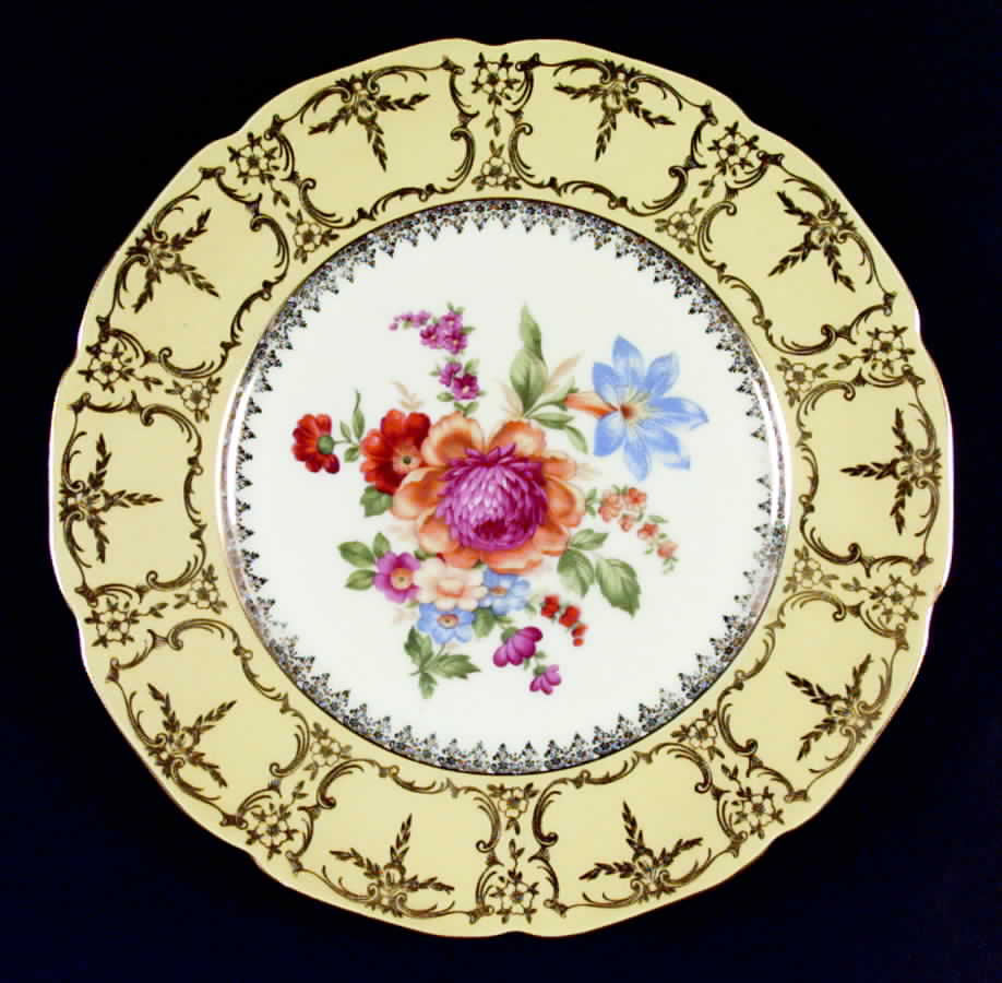 CZE61 Dinner Plate by Czechia-Czechoslovakia-1