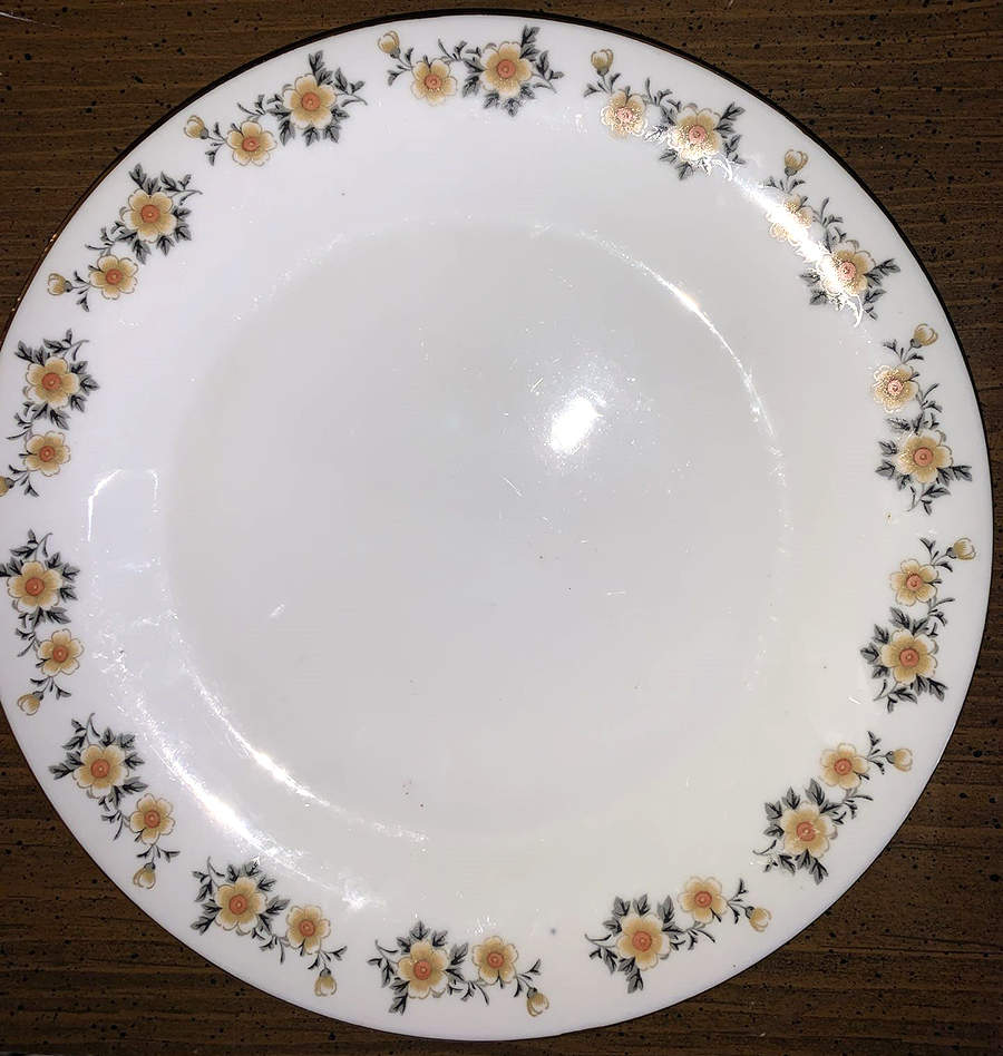 CX928 Dinner Plate by China (Made in China)-1