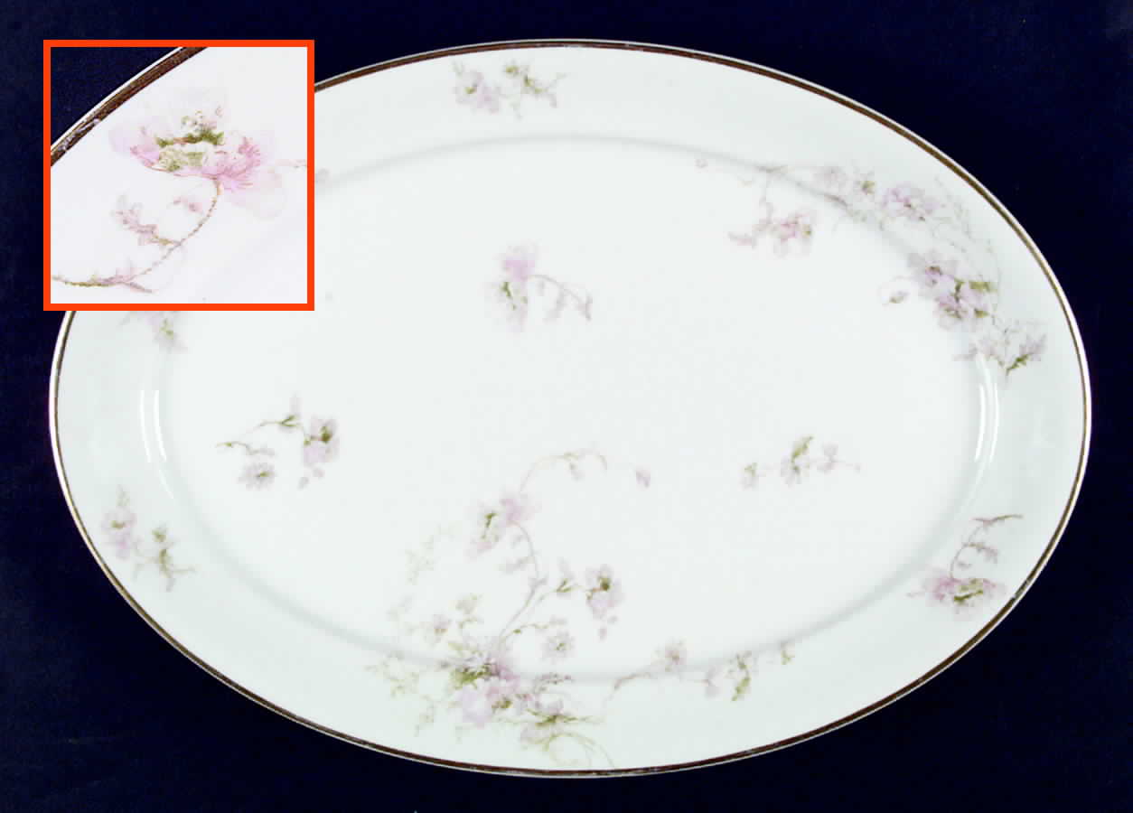 CHF479 14" Oval Serving Platter by Charles Field Haviland-1