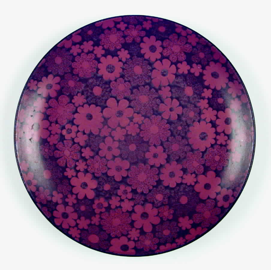 Echo Dinner Plate by Crown Lynn-1