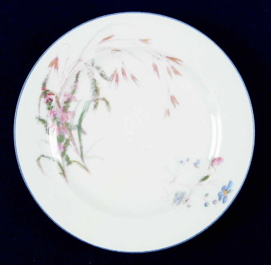 CHF489 Salad Plate by Charles Field Haviland-1
