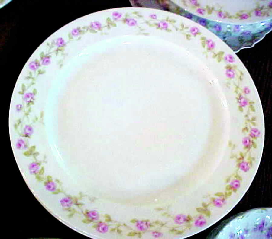 CHF494 Dinner Plate by Charles Field Haviland-1