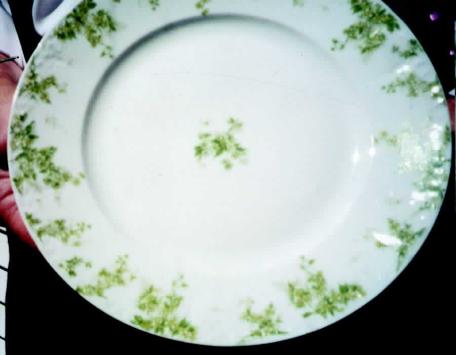 Schleiger 1289b Dinner Plate by Charles Field Haviland-1
