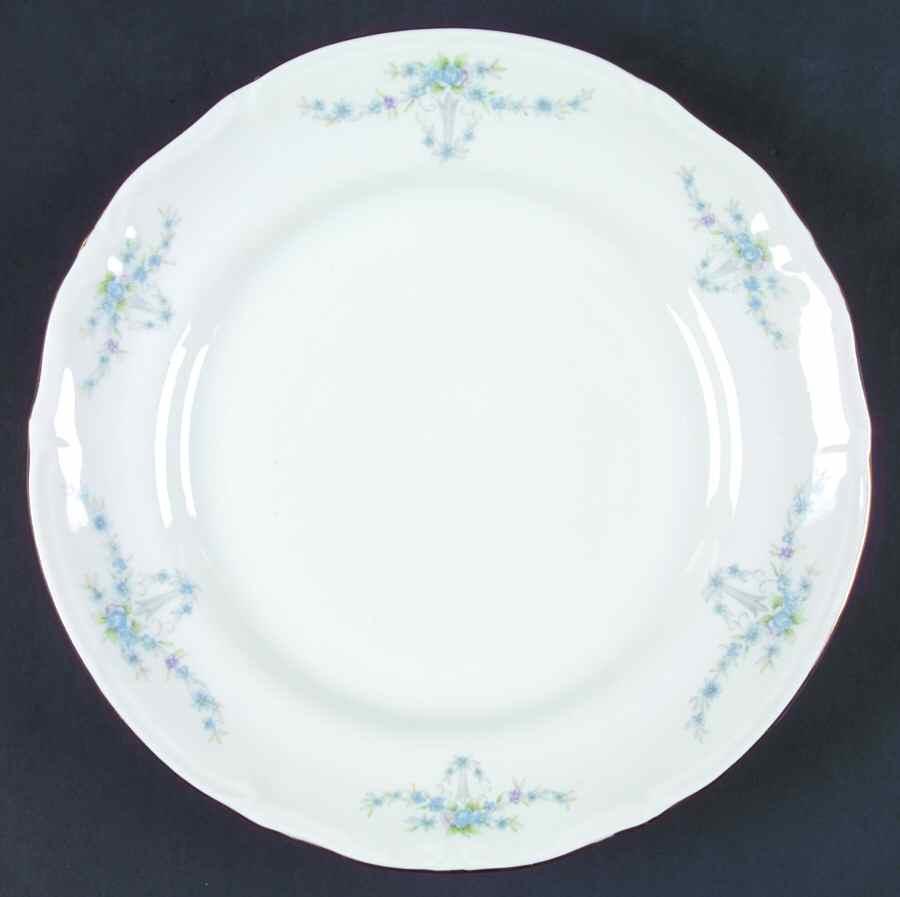 CHZ12 Dinner Plate by Chodziez-Poland-1
