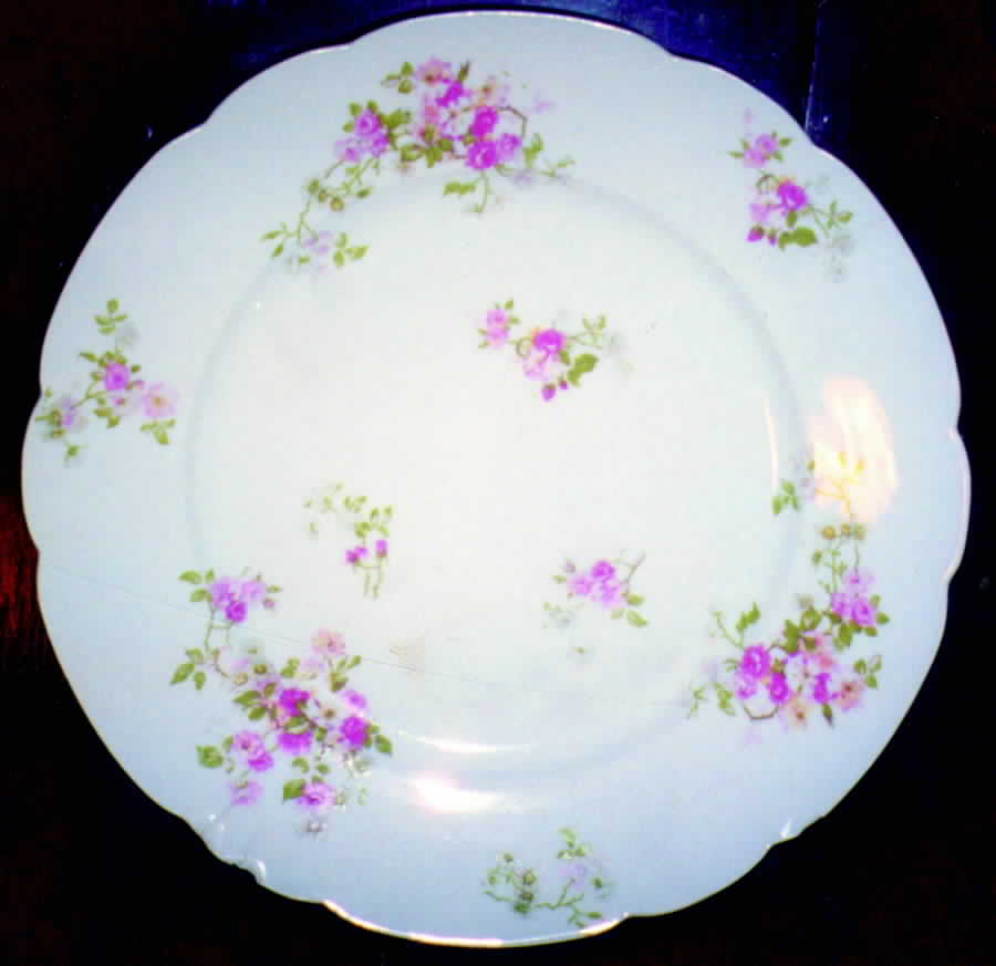 CHF495 Dinner Plate by Charles Field Haviland-1