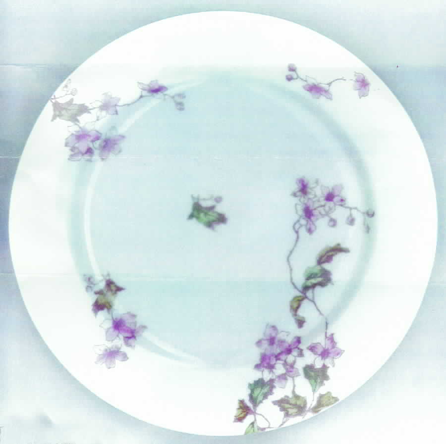 CHF496 Salad Plate by Charles Field Haviland-1