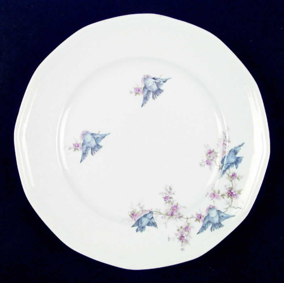 CSA4 Dinner Plate by Crescent China -1