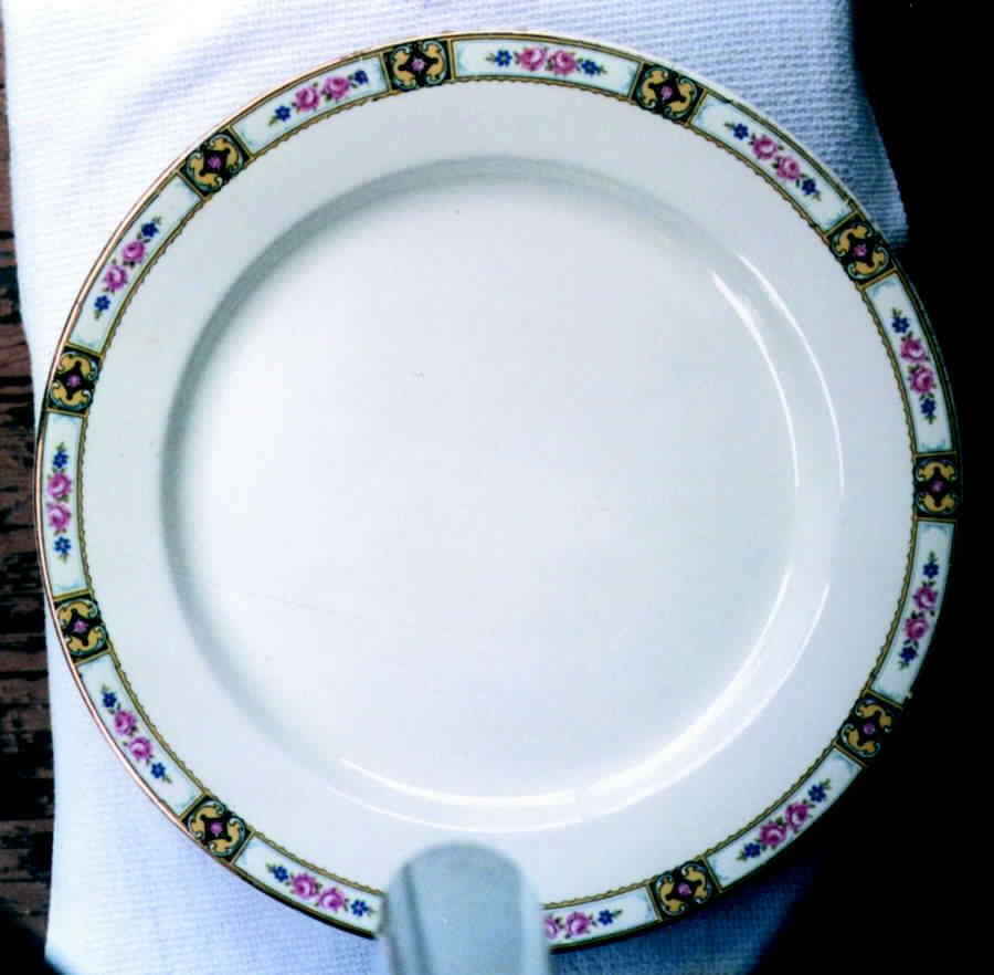 CLT29 Dinner Plate by Carrollton-1