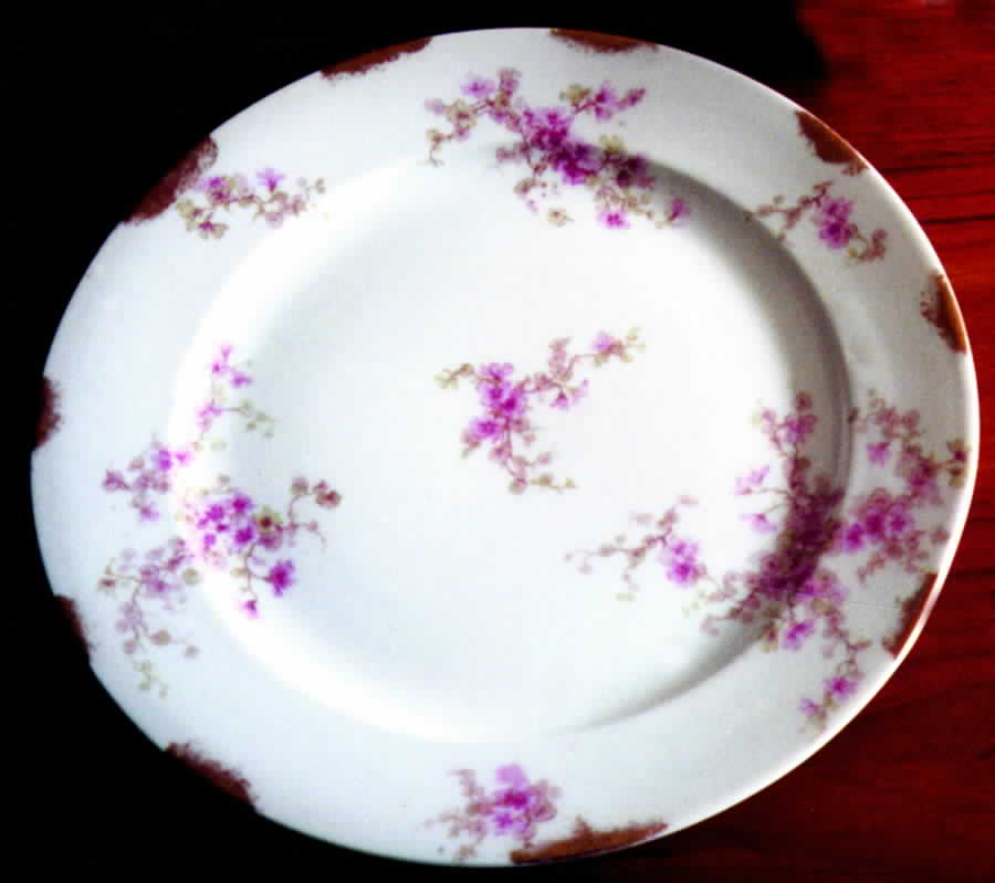CHF505 Dinner Plate by Charles Field Haviland-1
