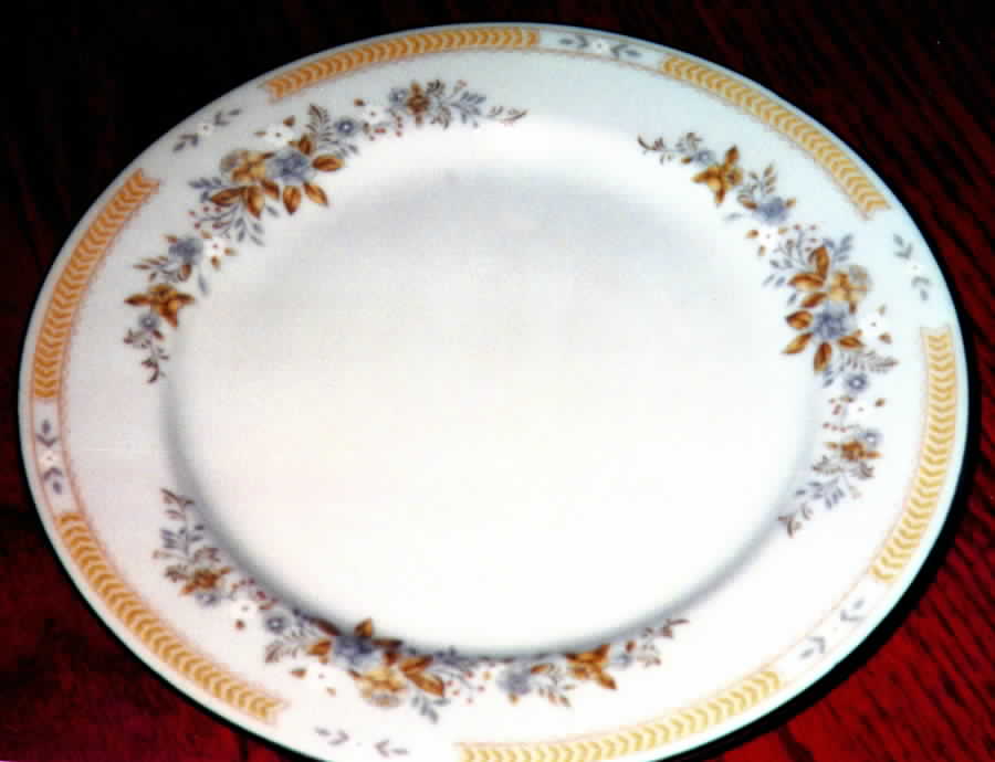 CHP16 Dinner Plate by China Pearl-1