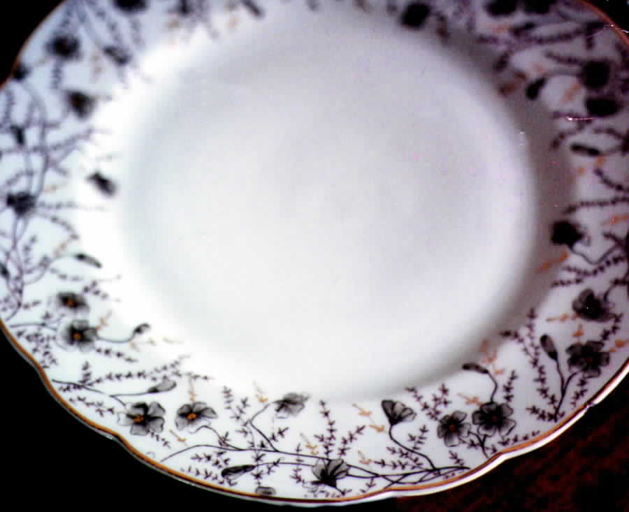 CAR59 Dinner Plate by Carlsbad-1
