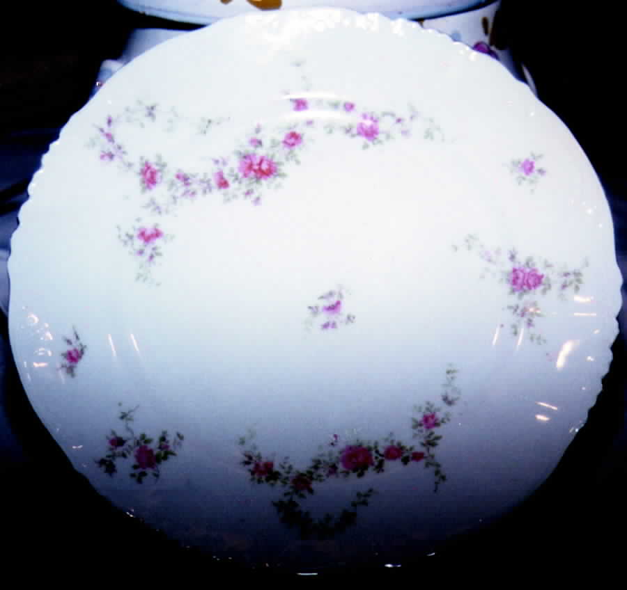 9165 Dinner Plate by Carlsbad-1