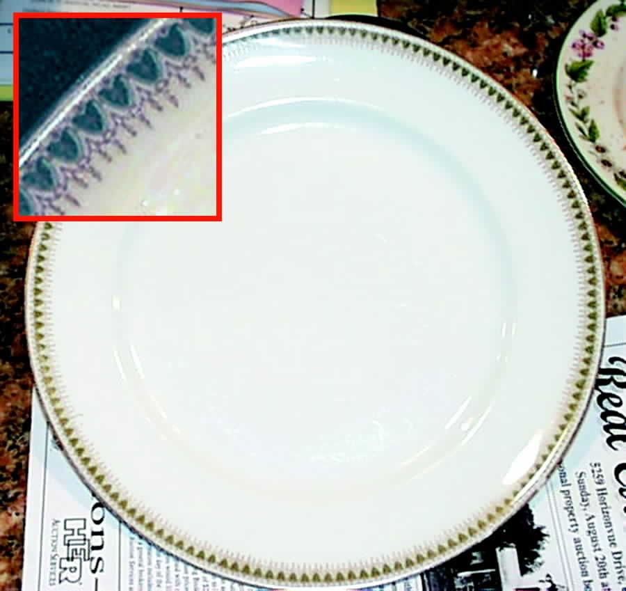 CHF510 Dinner Plate by Charles Field Haviland-1