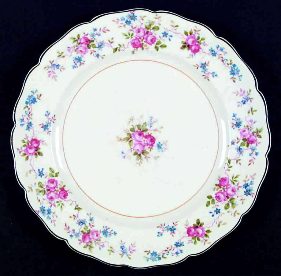 2688c Dinner Plate by Canonsburg-1
