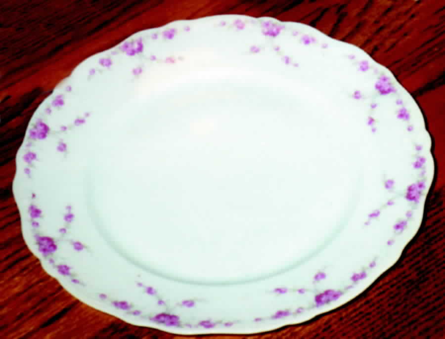 CAR69 Dinner Plate by Carlsbad-1