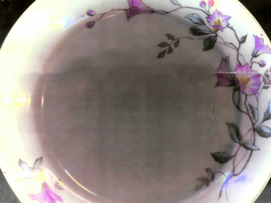 CAR73 Dinner Plate by Carlsbad-1