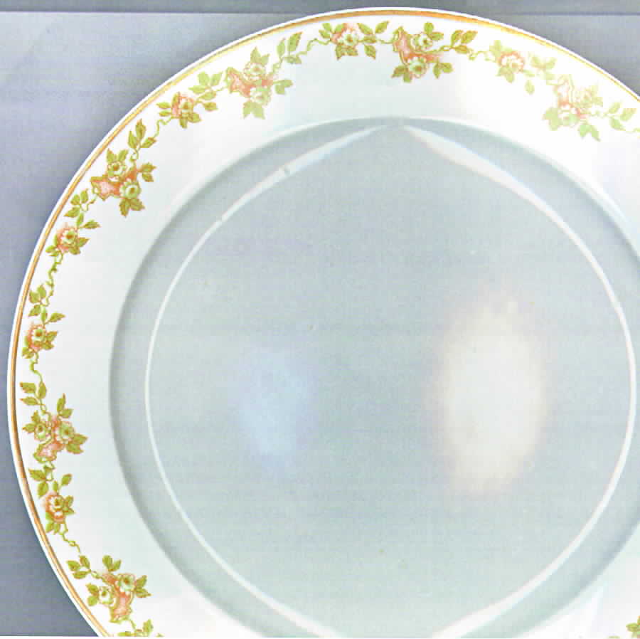 CHF515 Dinner Plate by Charles Field Haviland-1